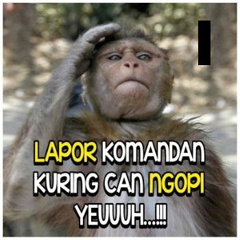 50 Gambar Lucu Sunda Terbaru 2020 Dijamin Ngakak Jalantikus