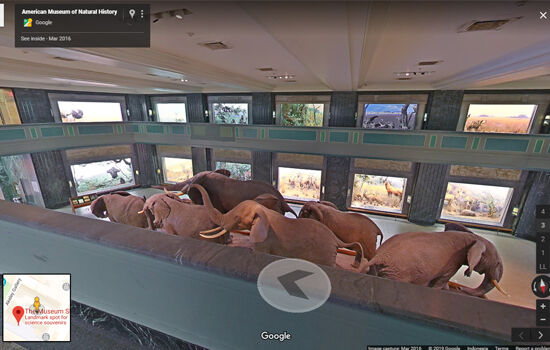 Fakta Unik Google Maps National History Museum 4b5ba