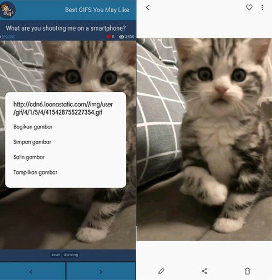 Cara Download Gif Dari Pinterest 6 5a0e8
