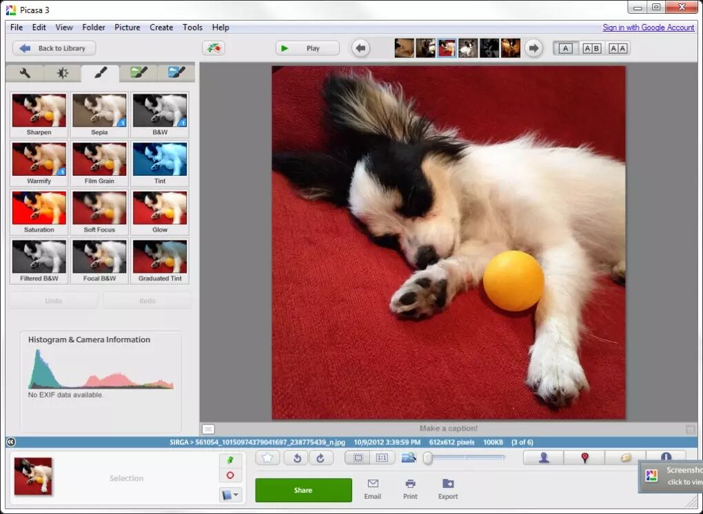 Picasa 1 258f4