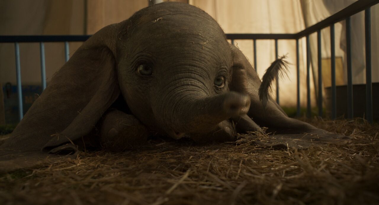 Dumbo2 982e1