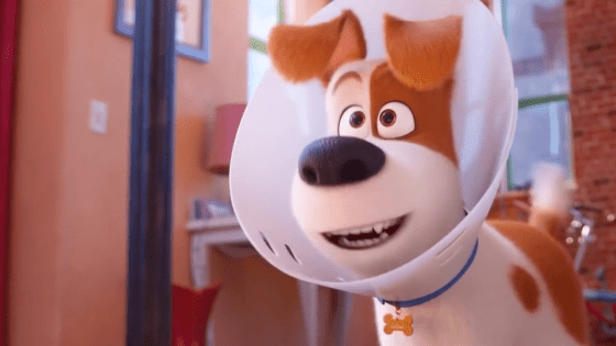 Review Film Secret Life Of Pet 2 2 B0d2e