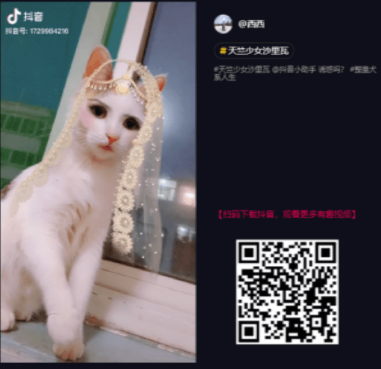 Foto TikTok 2 84736