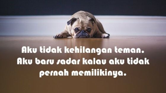 Caption Untuk Sahabat Munafik 7c9f5
