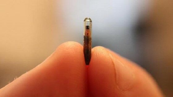 Chip Implan Custom 115af