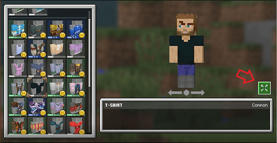 Minecraft Expand 9ee93