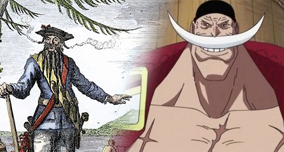 Fakta Menarik Anime One Piece 4 D3e61
