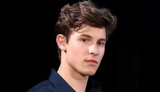Shawn Mendes Dc04d