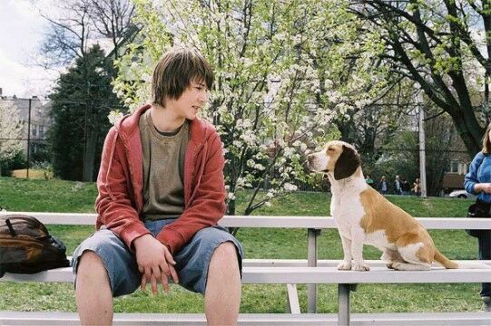 Underdog 2007 14025