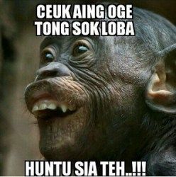 Meme Sunda 18 0eb4b