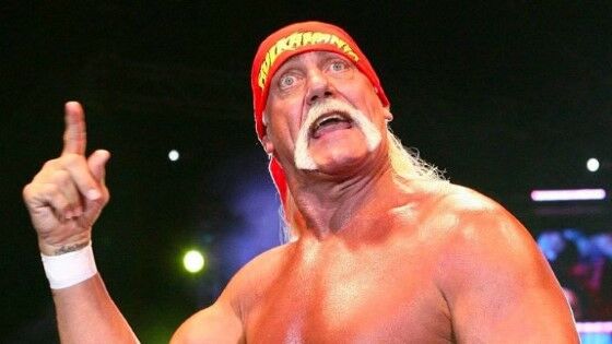 Rasis Hulk Hogan Custom 20901