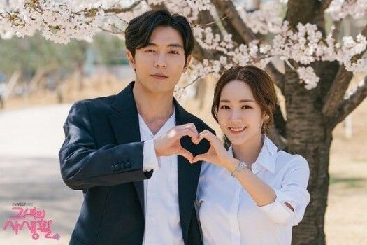 Drama Korea Paling Overrated Her Private Life Custom 9d087