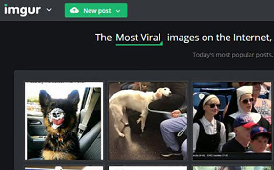 Alamat Situs Terlarang Imgur D9e0d