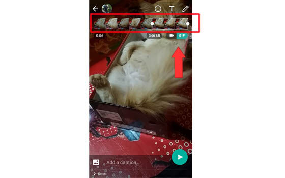 Cara Membuat Gif Di Wa 03 28b82