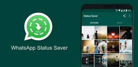 Aplikasi Status Downloader For Whatsapp Status Saver Wa 4d6d2