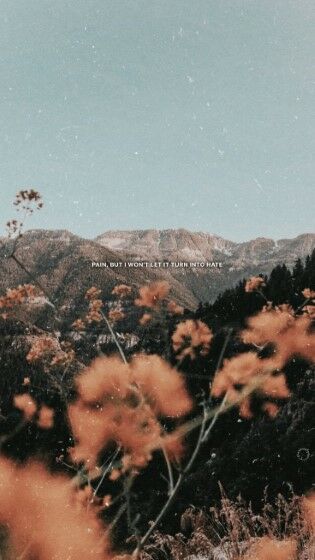 Wa Tumblr4 Custom 2fe0c
