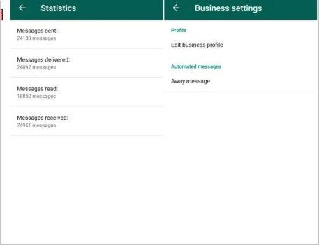 Whatsapp Business Pc 28940