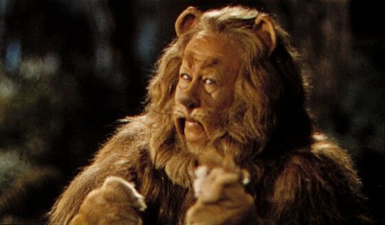 Kostum Cowardly Lion 5e3c5