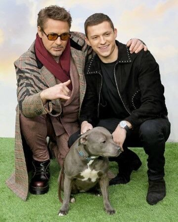 Film Tom Holland Terburuk Dolittle 73760