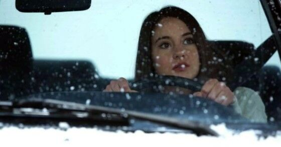 Film White Bird In A Blizzard 50941
