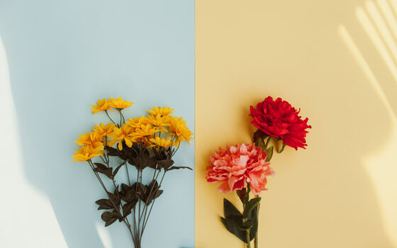 Cara Foto Aesthetic Kontras 8428e