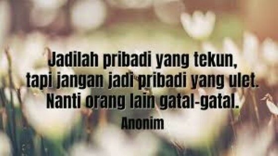 Motto Hidup Lucu E44d9