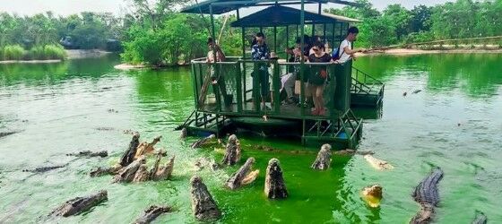 Destinasi Wisata Mengerikan Elephant Kingdom Thailand 9d42c