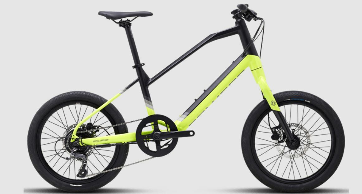 Polygon Sage 48143