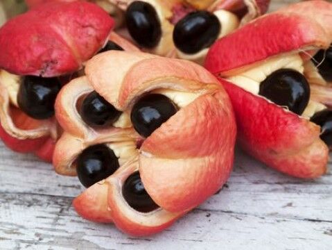 Ackee 4f2ea
