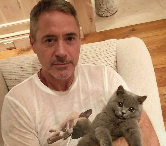 Robert Downey Jr Ironman Kucing 02212