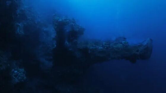 Pesawat Asing Bermuda 3 Eefe4