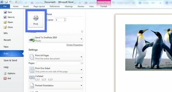 Cara Setting Ukuran Foto Di Word Ffa0c