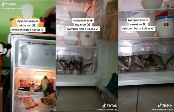 Pelihara Ikan Di Kulkas D3c51