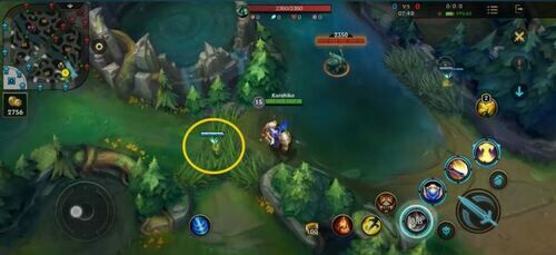 Ward Wild Rift F3c5d