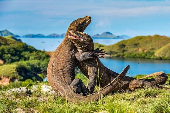 Tempat Wisata Indonesia Yang Mendunia 6 44b09