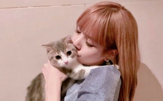 Nama Kucing Korea Lucu 65908