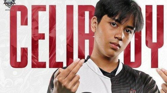 Celiboy 77701
