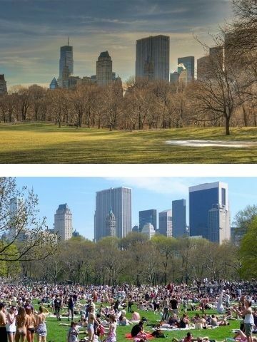 Sheep Meadow 76adf