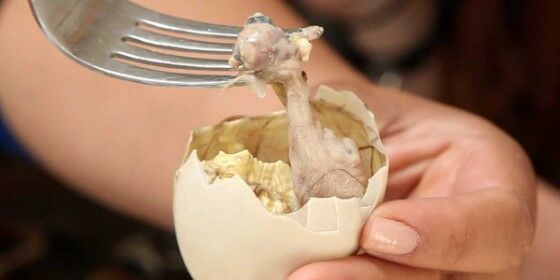 Balut 2 Cea73