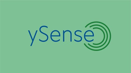 Survey Berbayar 6 222f4