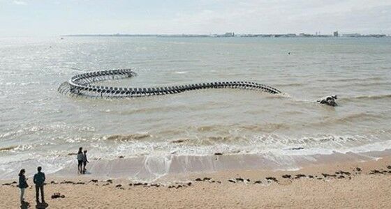 Patung Kerangka Ular Raksasa Di Pantai Dekat Muara Loire F1a09