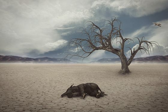 Drought 1733889 1280 3c938