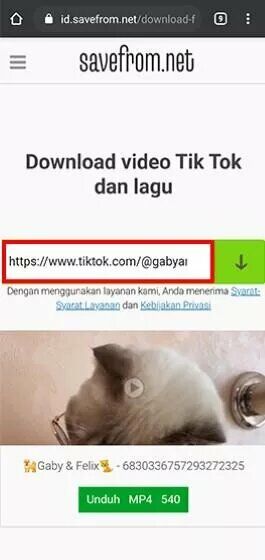 Cara Download Video Tiktok Tanpa Watermark 2021 B29dd