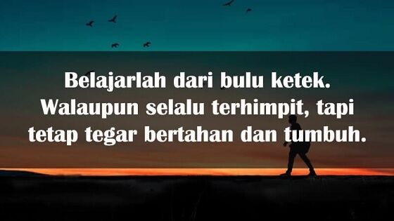 Kata Kata Lucu 2 4ad3f