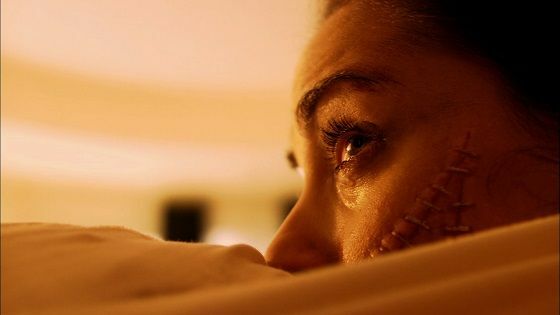 Download Film The Human Centipede 8d62a 426e5