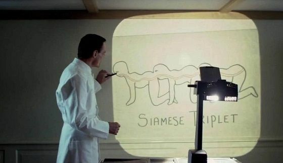 Fakta Menarik Film The Human Centipede 8f622 202f5