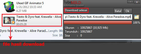 Download Youtube Dengan Tubemild 4