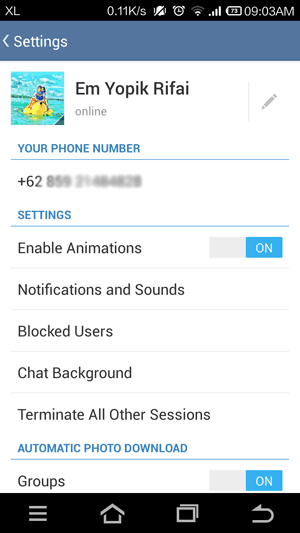 Review Telegram 13