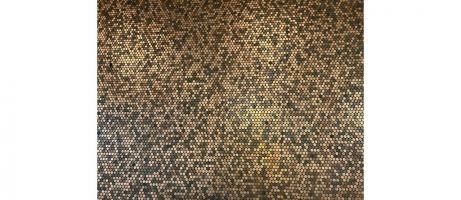 Casimir Funk: Biochemist Who Formulated the Concept of Vitamins