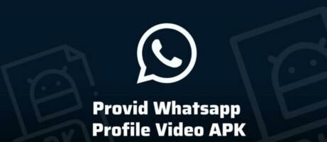 Provid WhatsApp
